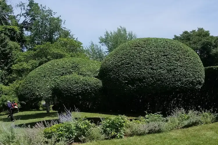 Professional Landscape Installation