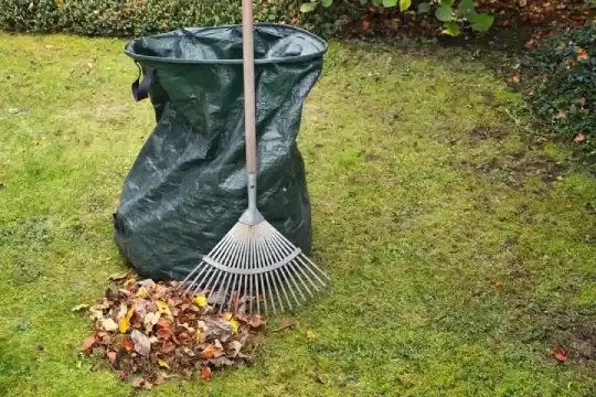 Spring and Fall Cleanups